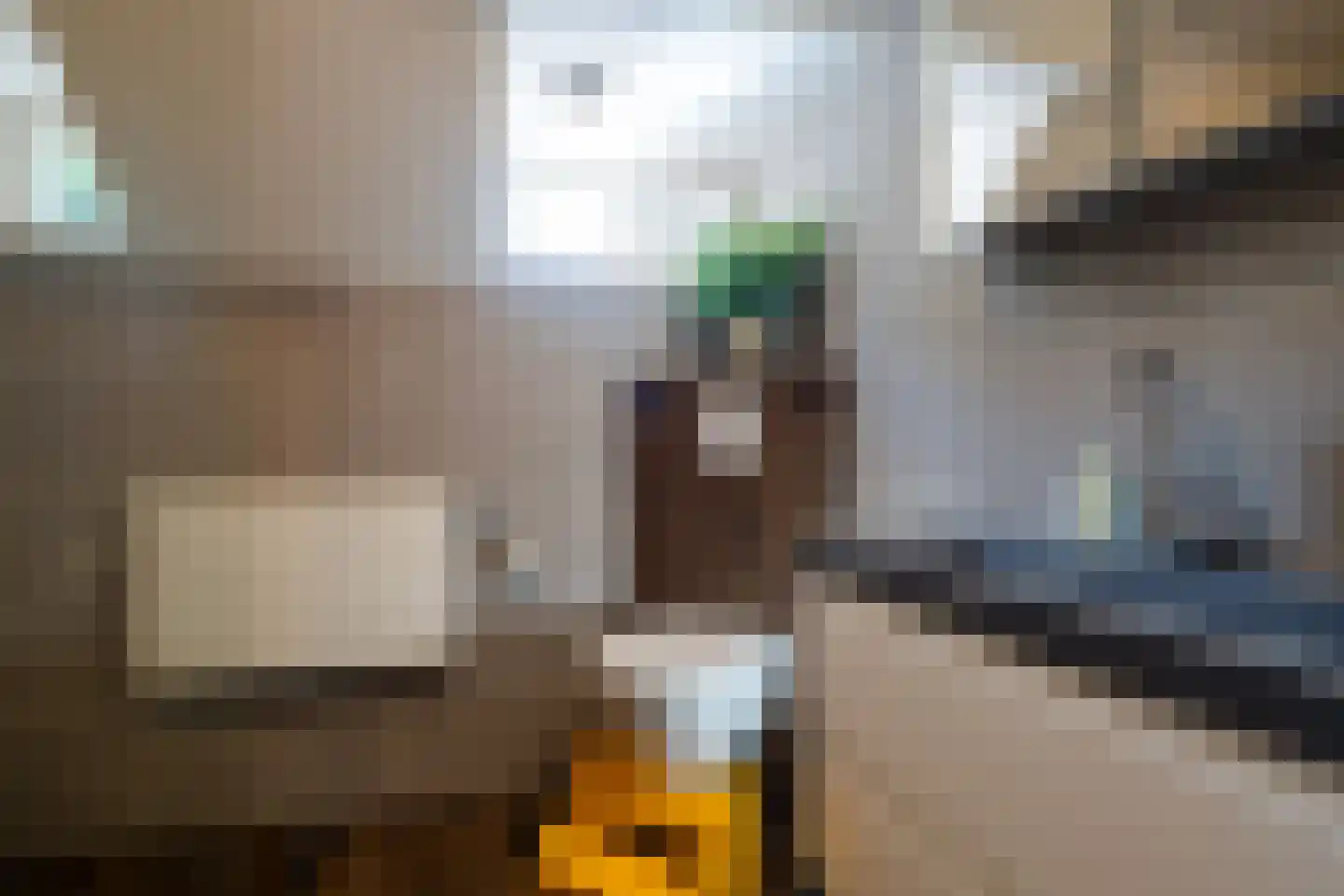 Framaheerd 1 Groningen thumbnail 33