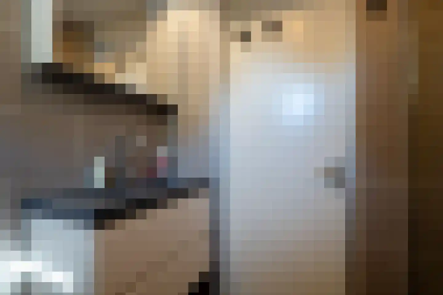 Framaheerd 1 Groningen thumbnail 35