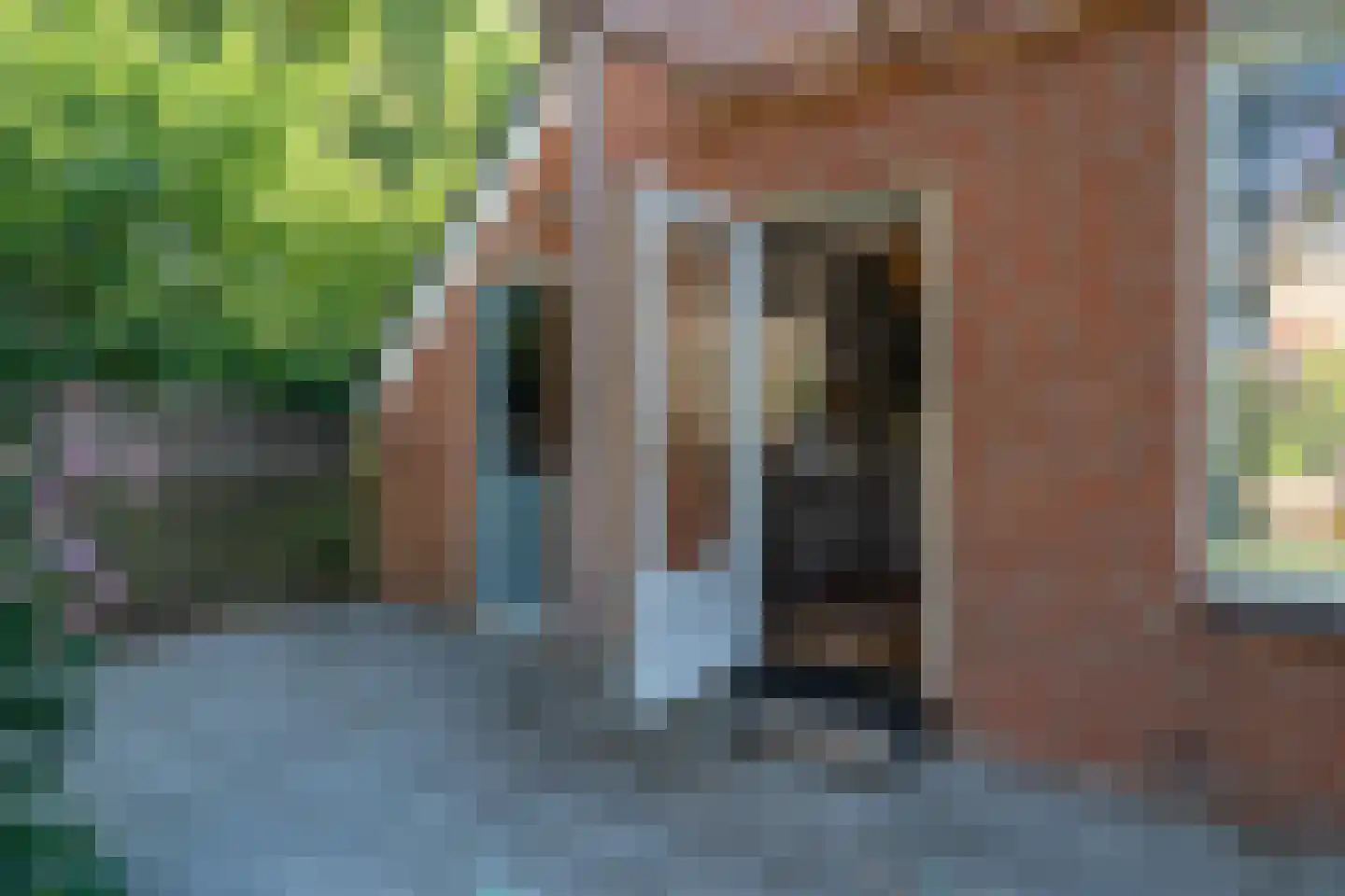 Framaheerd 1 Groningen thumbnail 43