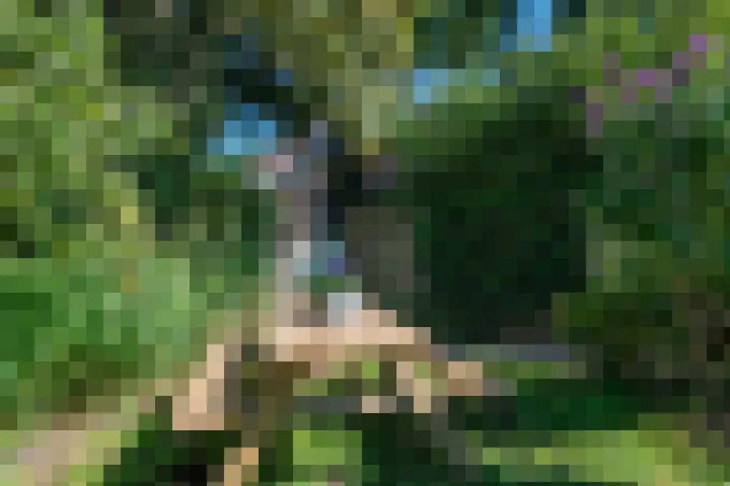 Framaheerd 1 Groningen thumbnail 50