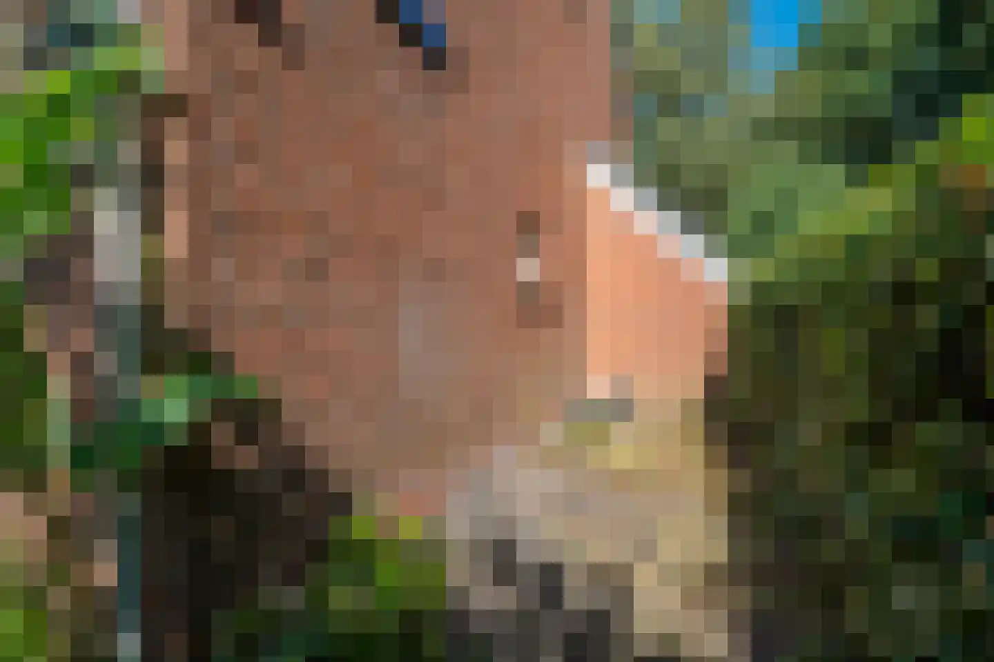 Framaheerd 1 Groningen thumbnail 51