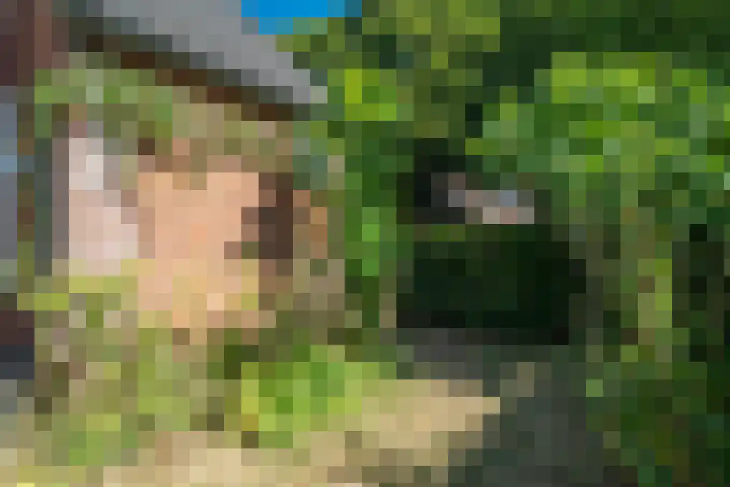Framaheerd 1 Groningen thumbnail 52