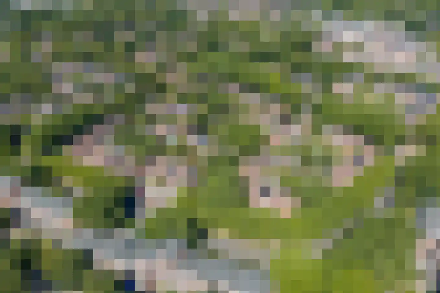 Framaheerd 1 Groningen thumbnail 59