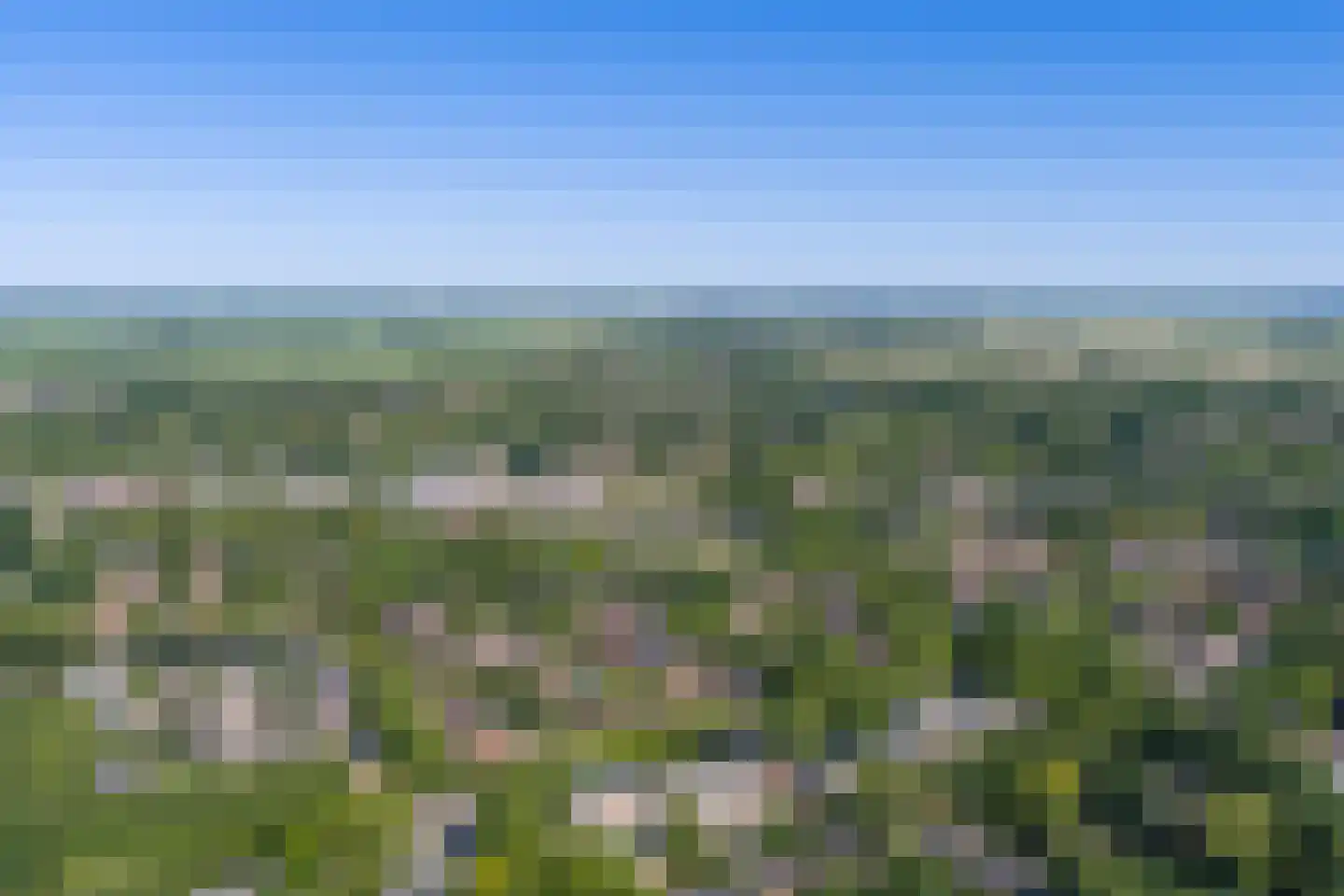 Framaheerd 1 Groningen thumbnail 60