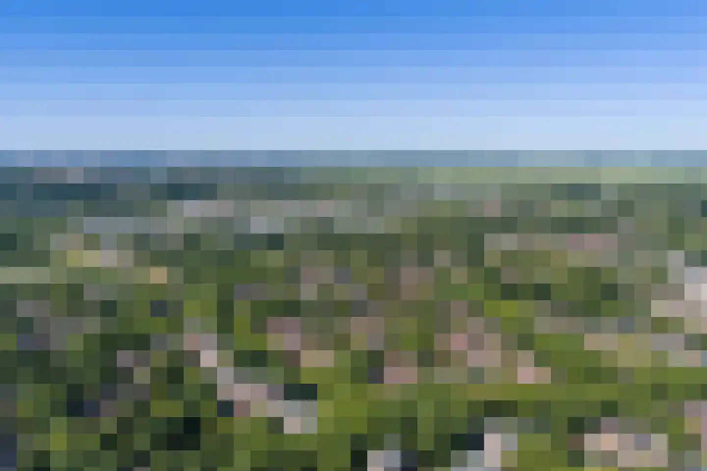 Framaheerd 1 Groningen thumbnail 61