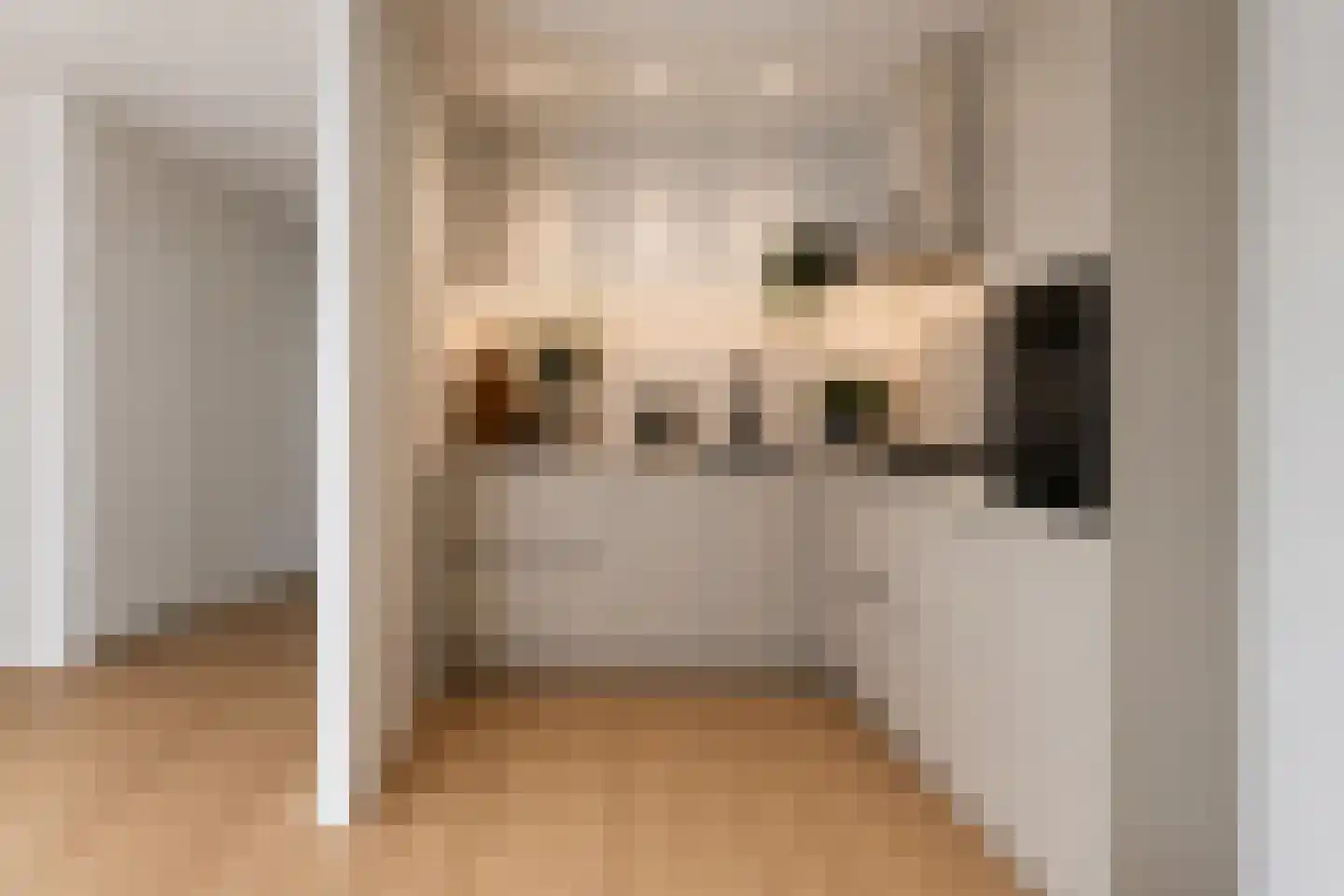 Framaheerd 17 Groningen thumbnail 12