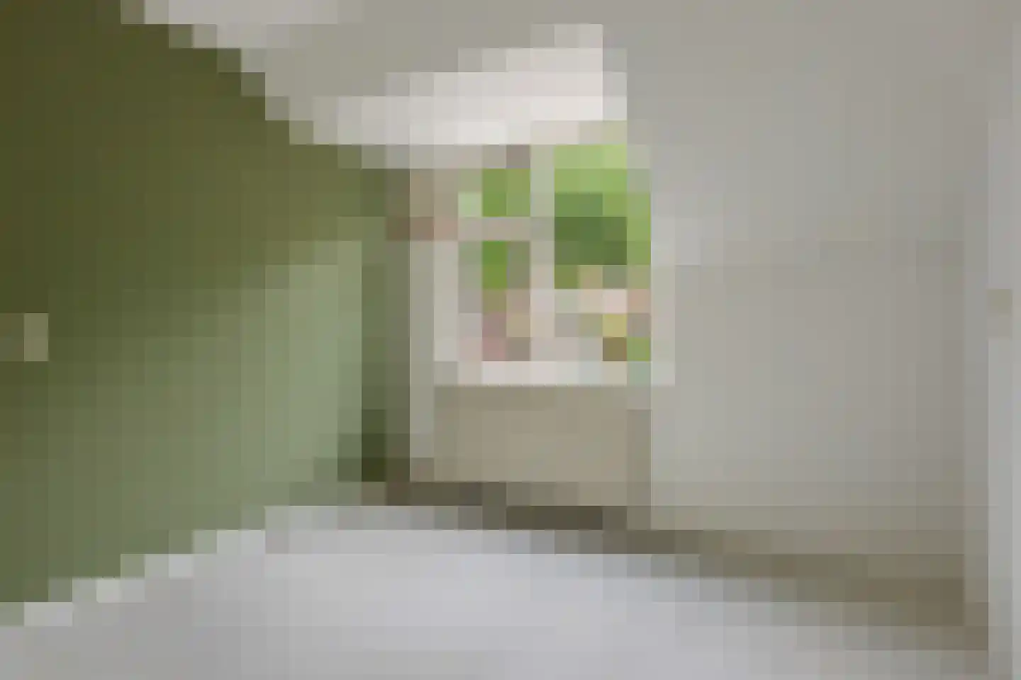 Framaheerd 17 Groningen thumbnail 15