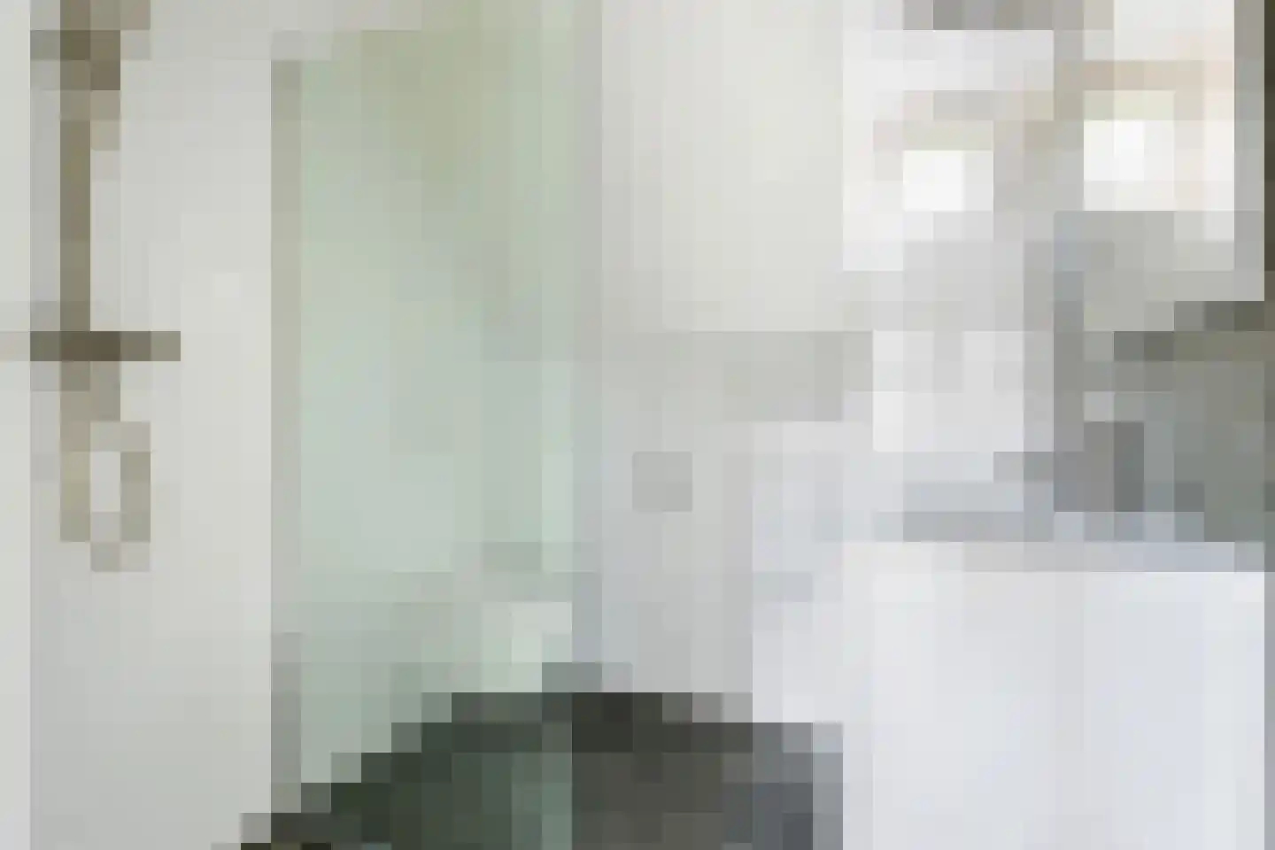 Framaheerd 17 Groningen thumbnail 17