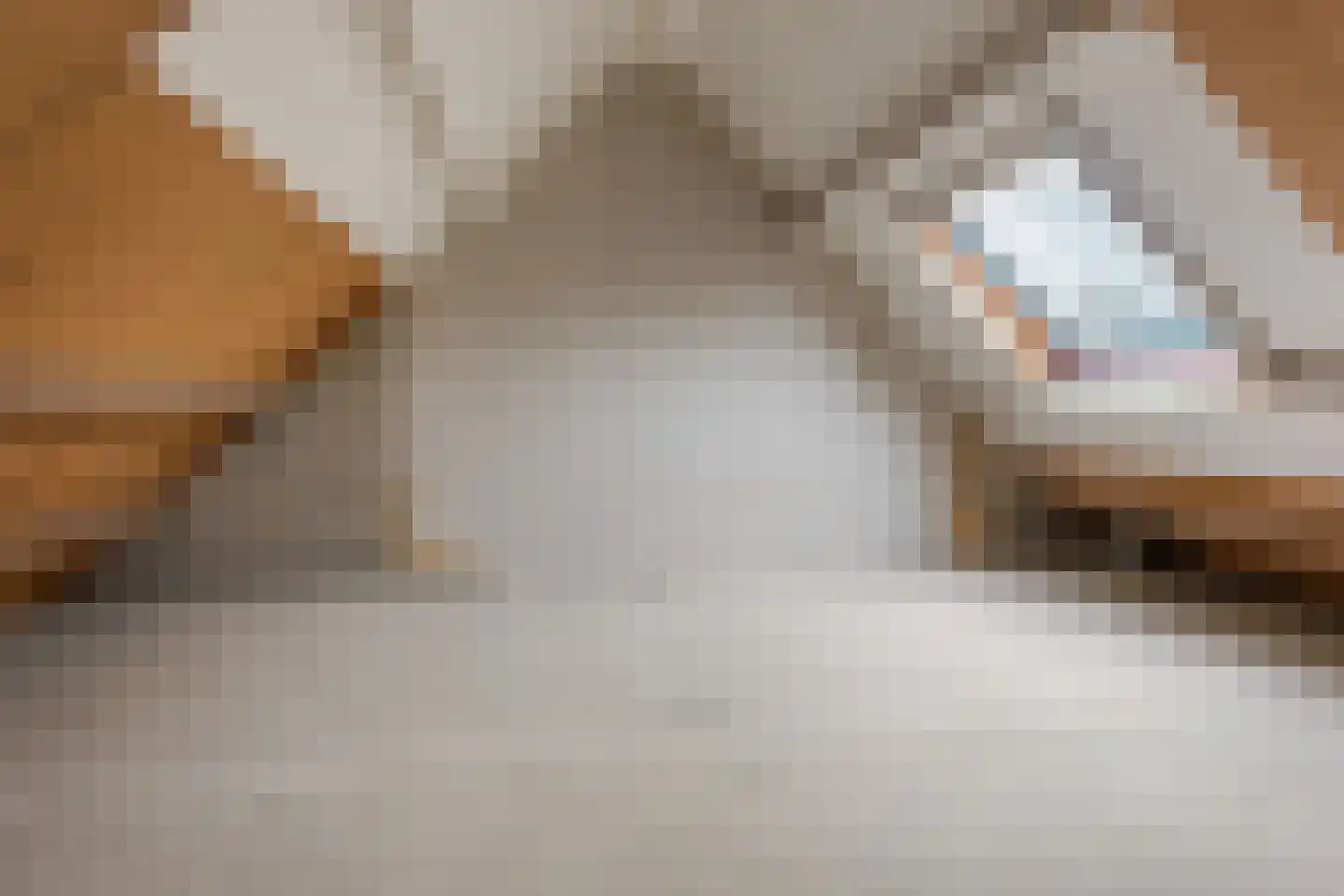 Framaheerd 17 Groningen thumbnail 19