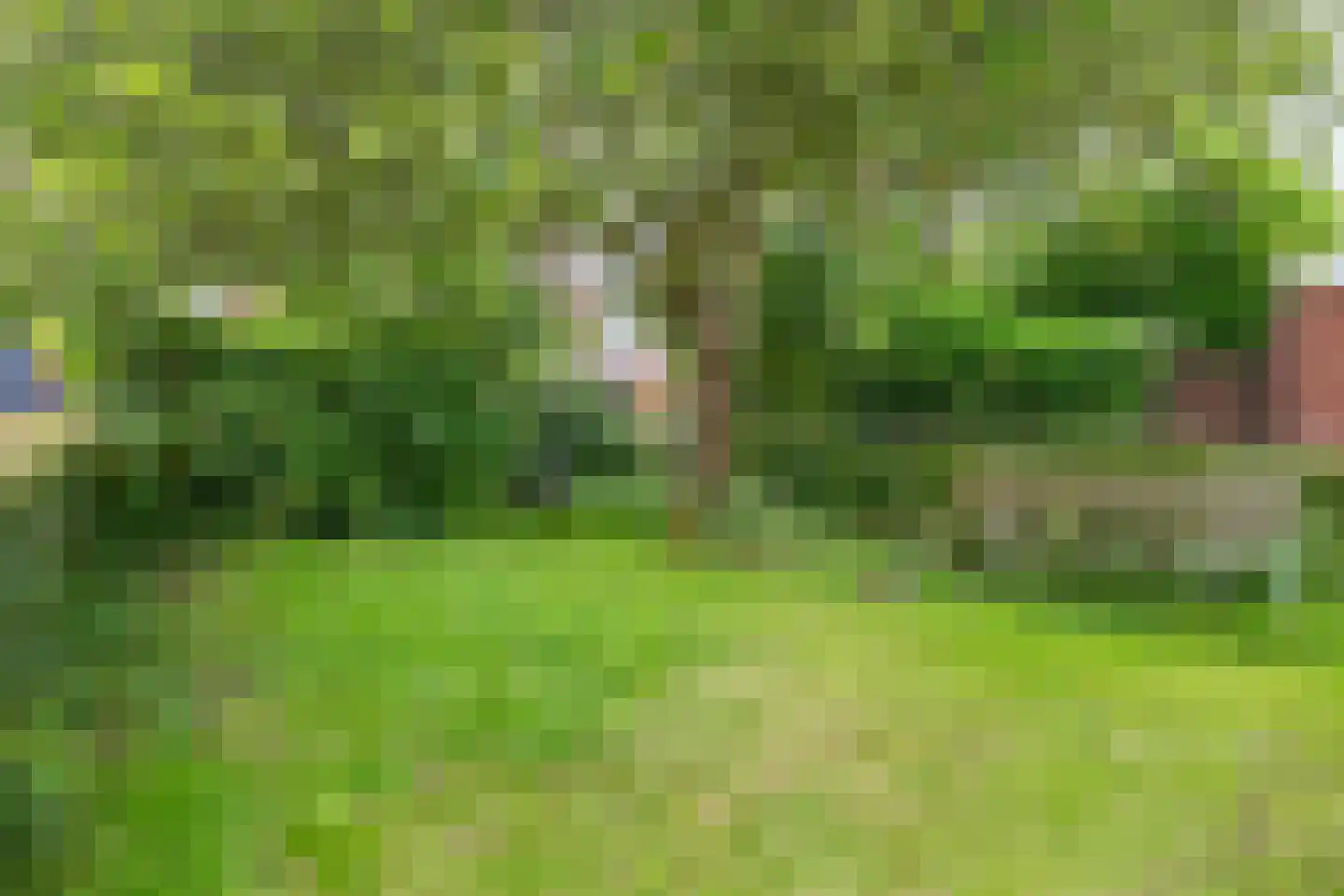 Framaheerd 17 Groningen thumbnail 25
