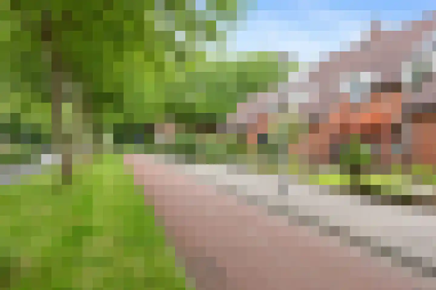 Framaheerd 17 Groningen thumbnail 29