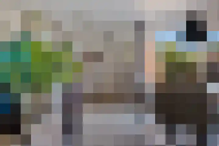 Framaheerd 29 Groningen thumbnail 11