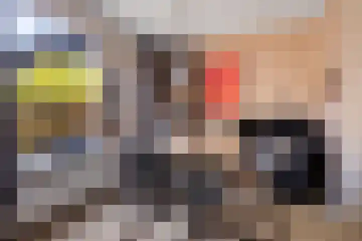 Framaheerd 29 Groningen thumbnail 13