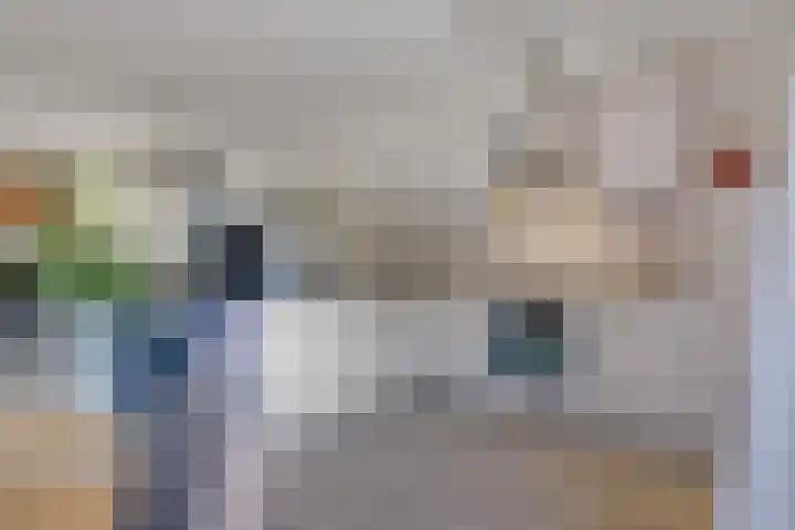 Framaheerd 29 Groningen thumbnail 15