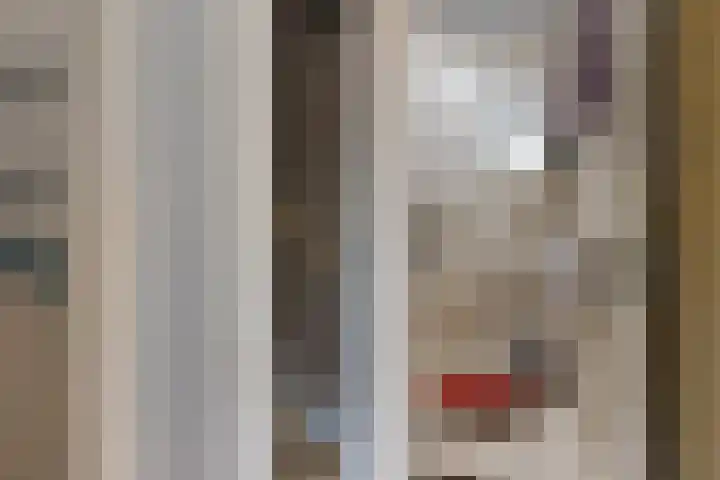 Framaheerd 29 Groningen thumbnail 20