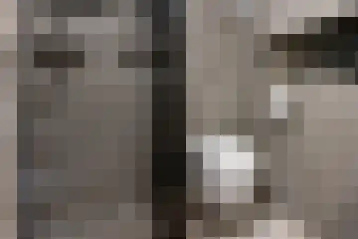 Framaheerd 29 Groningen thumbnail 23