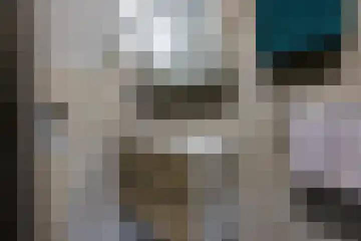Framaheerd 29 Groningen thumbnail 24