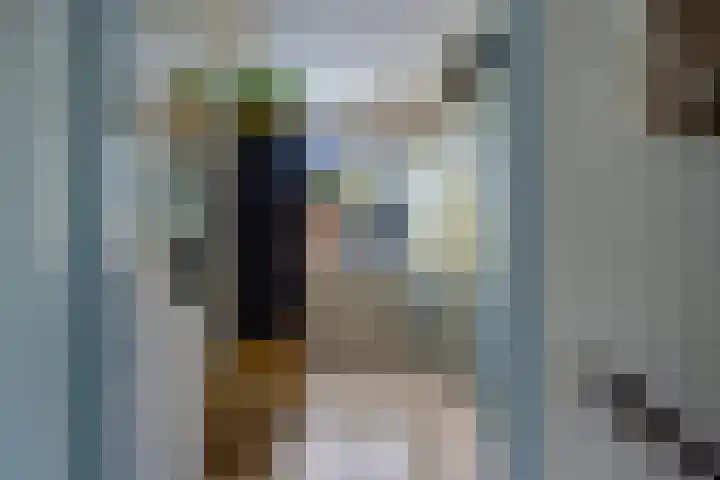 Framaheerd 29 Groningen thumbnail 30
