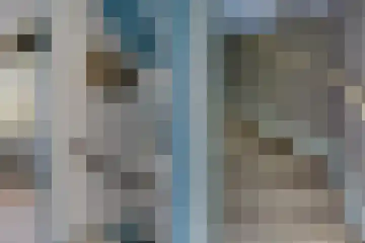 Framaheerd 29 Groningen thumbnail 31