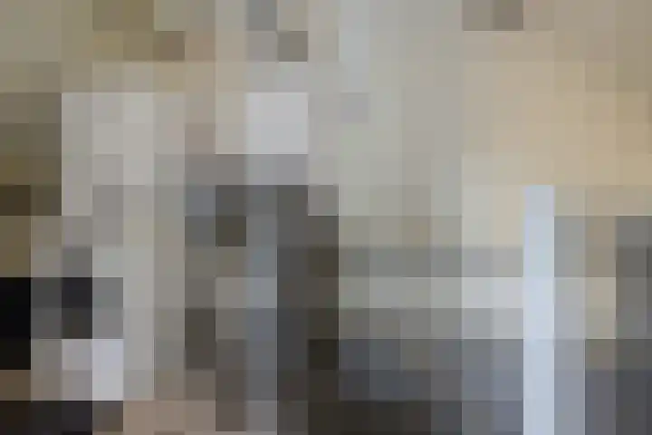 Framaheerd 29 Groningen thumbnail 33