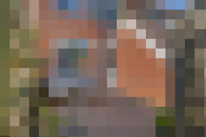 Framaheerd 29 Groningen thumbnail 34