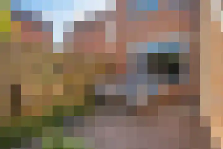 Framaheerd 29 Groningen thumbnail 35