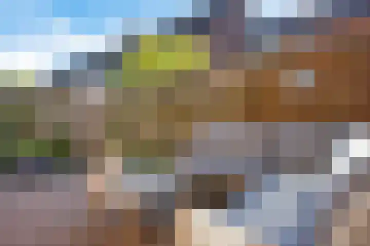 Framaheerd 29 Groningen thumbnail 36