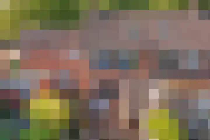 Framaheerd 29 Groningen thumbnail 38