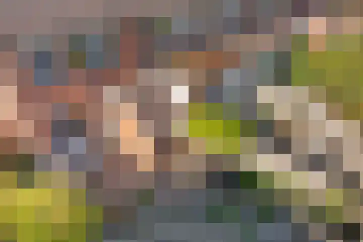 Framaheerd 29 Groningen thumbnail 39