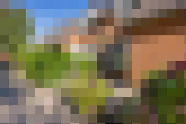 Framaheerd 29 Groningen thumbnail 4