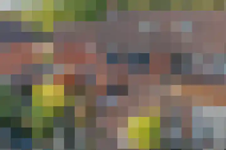 Framaheerd 29 Groningen thumbnail 40