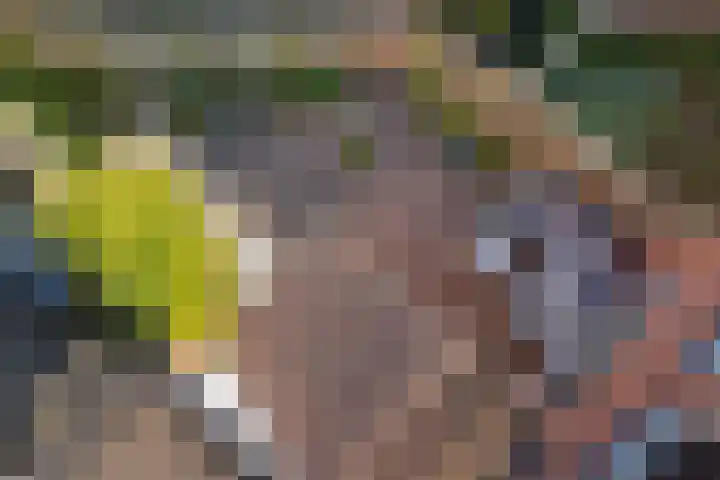 Framaheerd 29 Groningen thumbnail 41