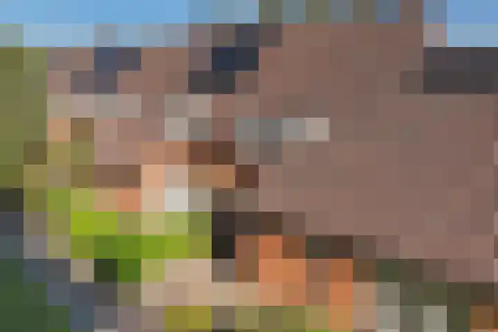 Framaheerd 29 Groningen thumbnail 43