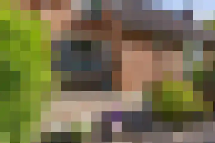 Framaheerd 29 Groningen thumbnail 5