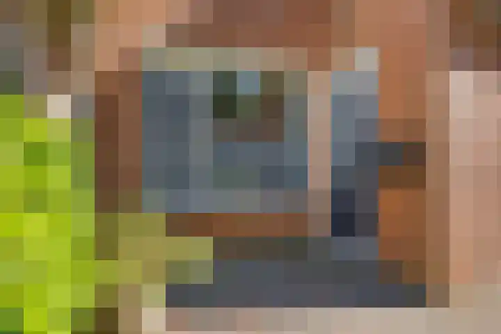 Framaheerd 29 Groningen thumbnail 6