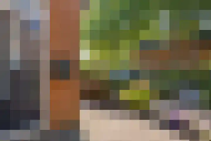 Framaheerd 29 Groningen thumbnail 7