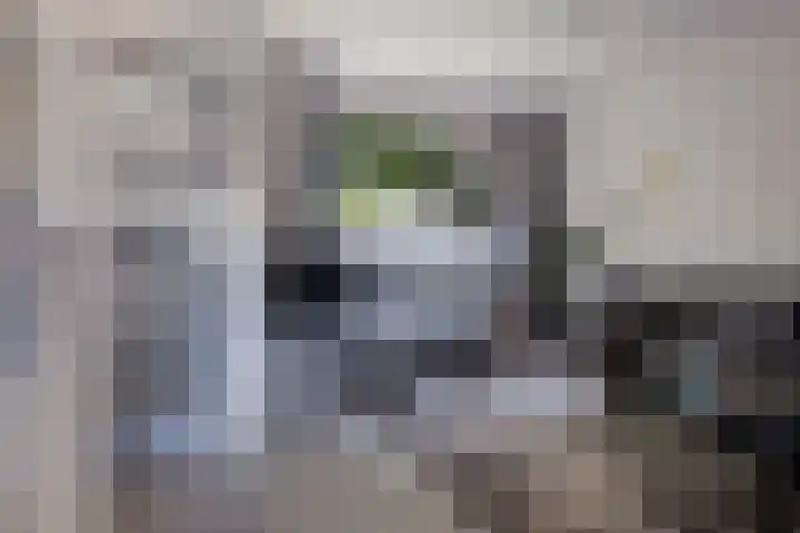 Framaheerd 29 Groningen thumbnail 9