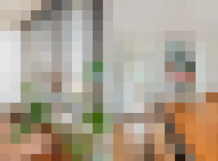 Framaheerd 32 Groningen thumbnail 10
