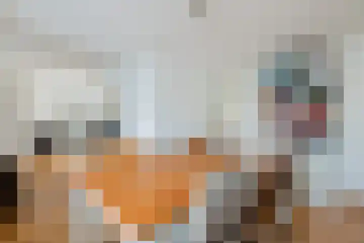 Framaheerd 32 Groningen thumbnail 12