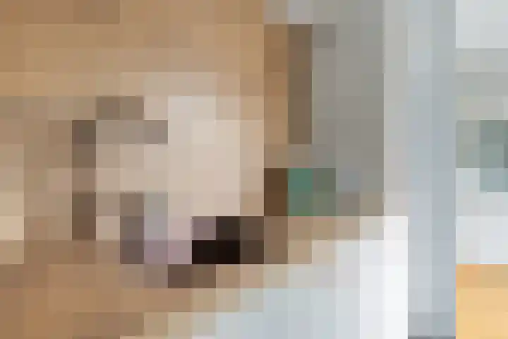 Framaheerd 32 Groningen thumbnail 15