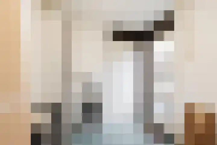 Framaheerd 32 Groningen thumbnail 18