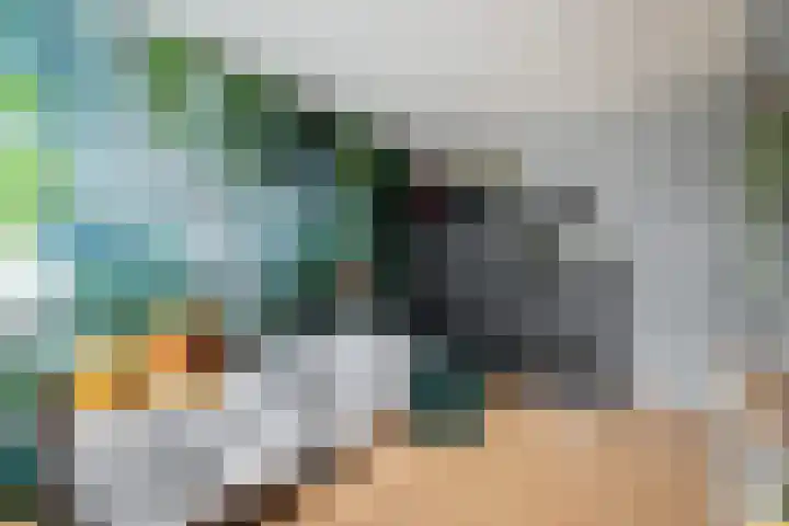 Framaheerd 32 Groningen thumbnail 24