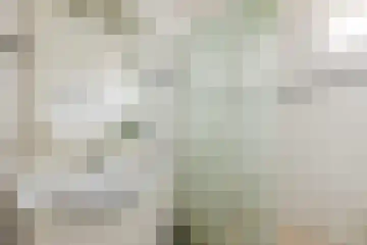 Framaheerd 32 Groningen thumbnail 29