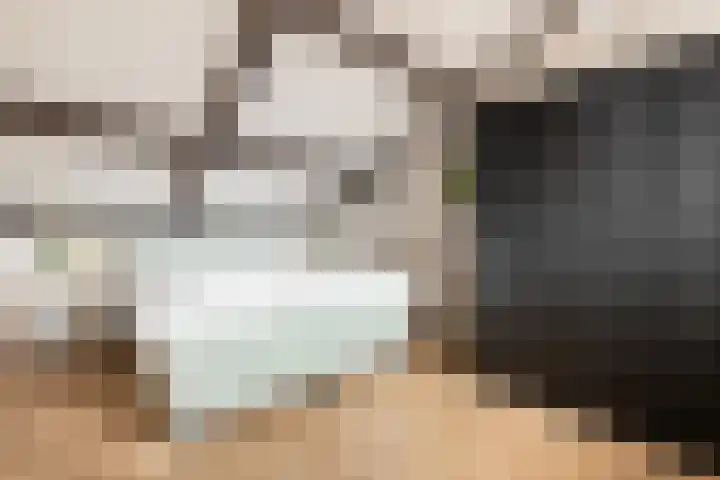 Framaheerd 32 Groningen thumbnail 32
