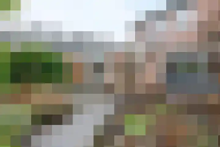 Framaheerd 32 Groningen thumbnail 36