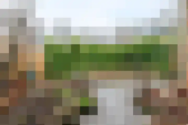 Framaheerd 32 Groningen thumbnail 38