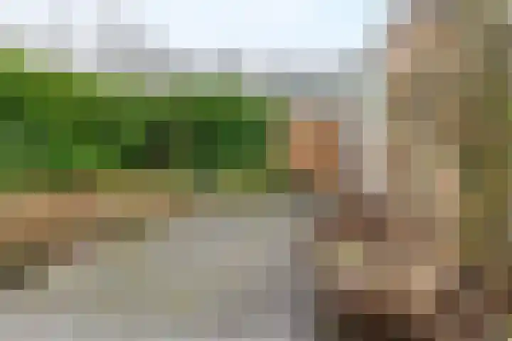 Framaheerd 32 Groningen thumbnail 39
