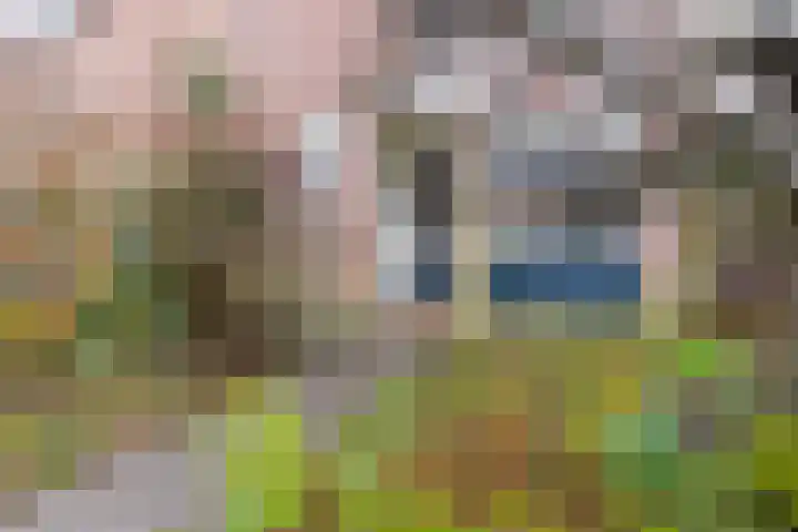 Framaheerd 32 Groningen thumbnail 5