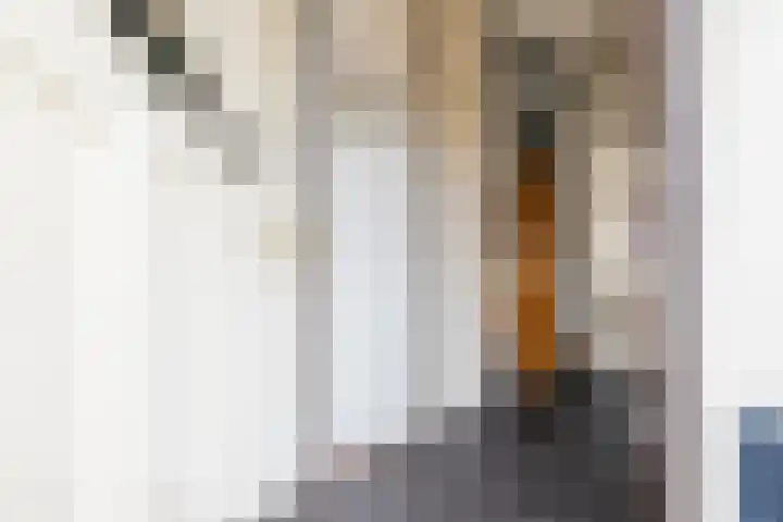 Framaheerd 32 Groningen thumbnail 6