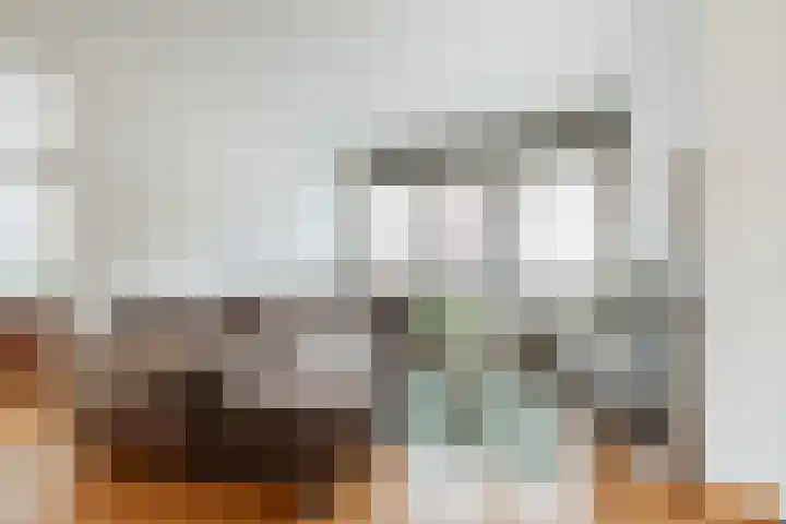Framaheerd 32 Groningen thumbnail 7